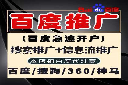 关键词竞价排名的优化技巧与成功案例分享